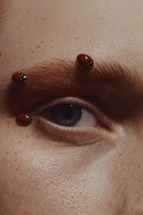 Close-Up of Blue Eye With Ladybugs on Eyebrow