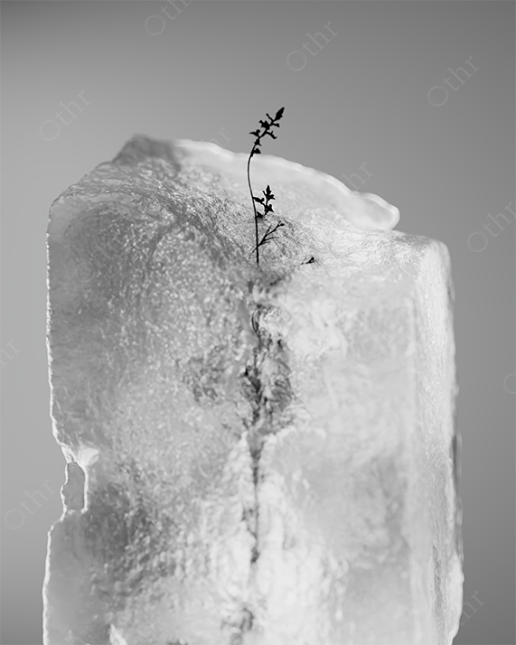 Small Plant Sprouting From a Translucent Ice Block in Soft Studio Lighting