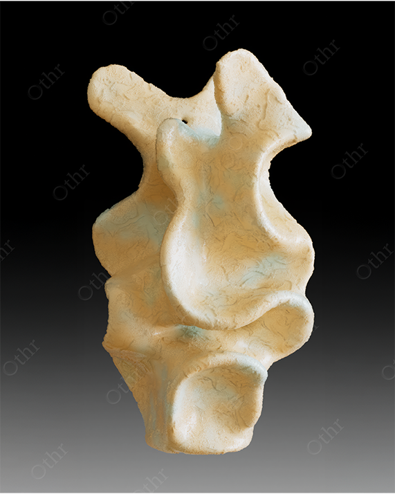 Abstract Organic Sculpture With Pale Textured Surface Isolated Against a Dark Gradient Background