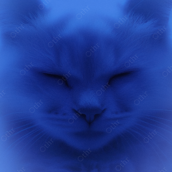 Cat portrait in blue monochrome lighting.