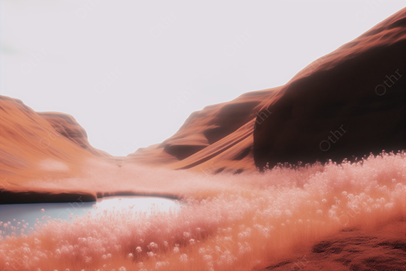 Dreamy Pink Valley Filled with Flowers