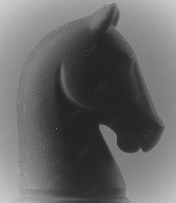 Monochrome Knight Chess Piece on Grey Background