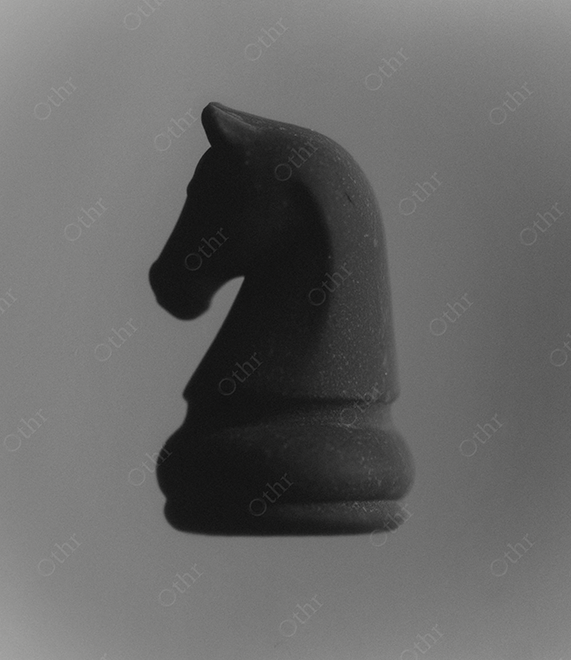 Monochrome knight - chess piece on a grey background.