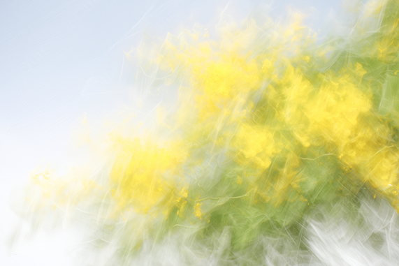 Digtial Oil Painting of Yellow Flowers