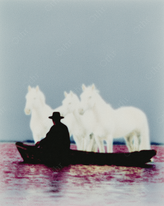 Dark Silhouette of Cowboy Sitting in Boat with Three White Horses in Background