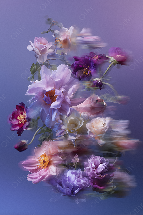 Exploding bouquet of pastel flowers on lavender