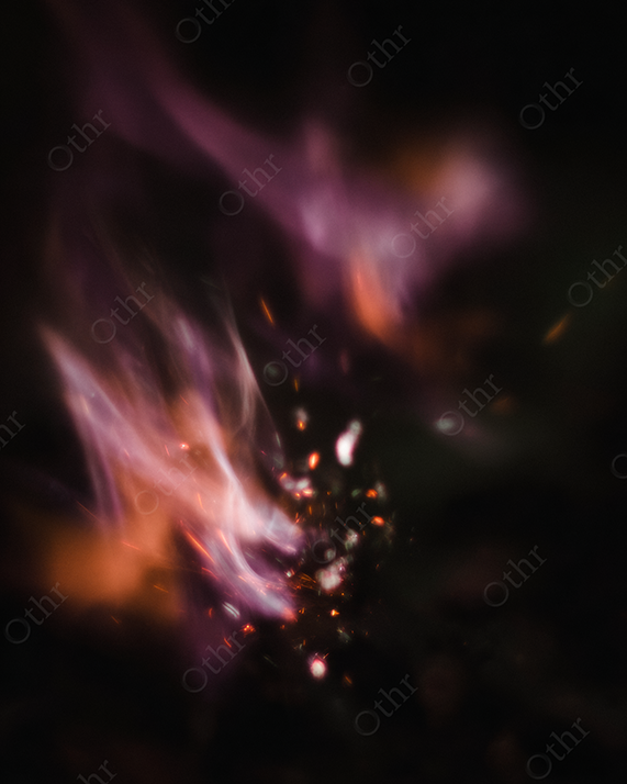 Close-Up of Wild Grass on a Sand Dune at Night