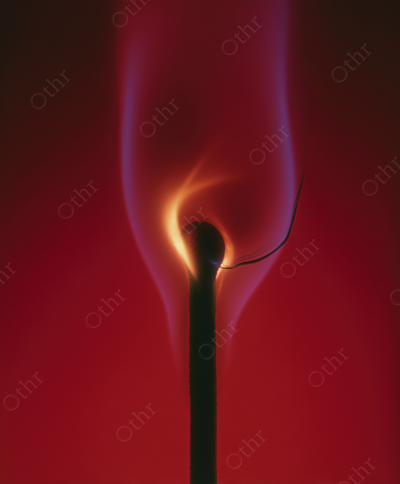 Close-up of a Match on Fire