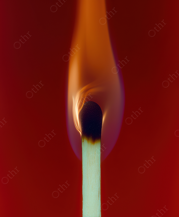 Close-up of a Match on Fire