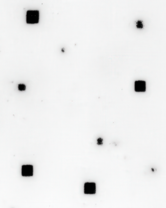 Minimalistic Black Squares on a White Background