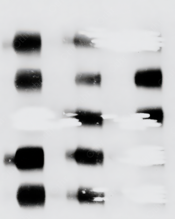Minimalistic Black Squares on a White Background