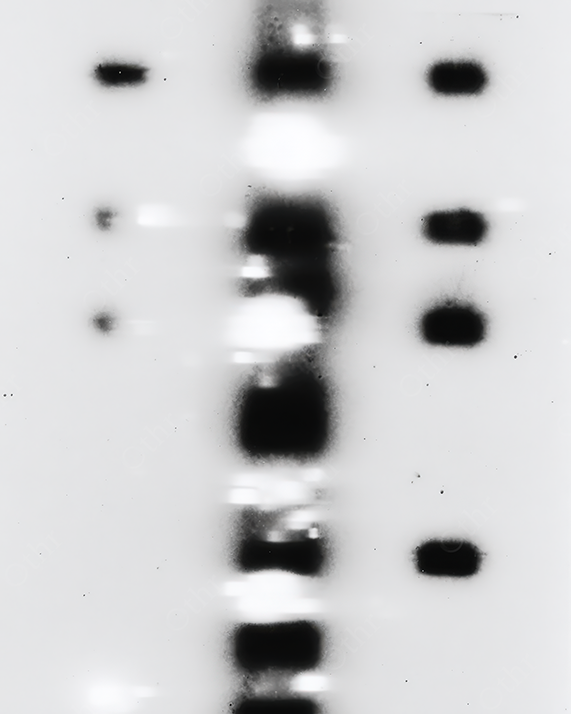 Minimalistic Black Squares on a White Background