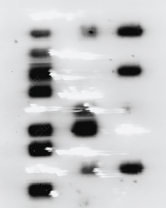 Minimalistic Black Squares on a White Background