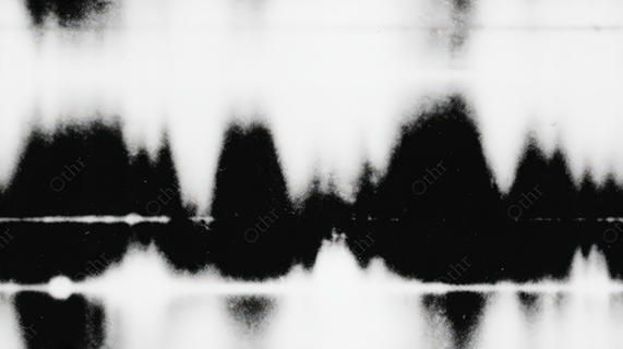 Mirrored Inkblot Composition in Black and White
