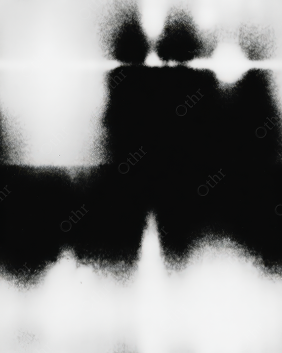 Mirrored Inkblot Composition in Black and White