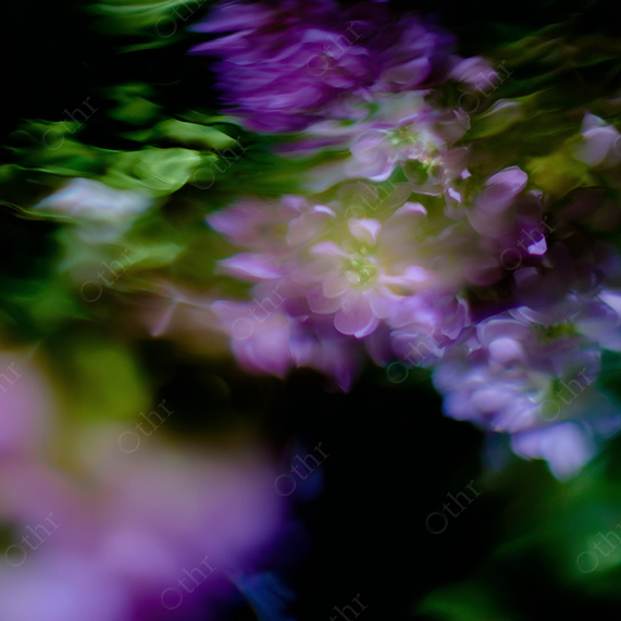 Soft-Focused, Blurred Purple Flowers with Green Glow