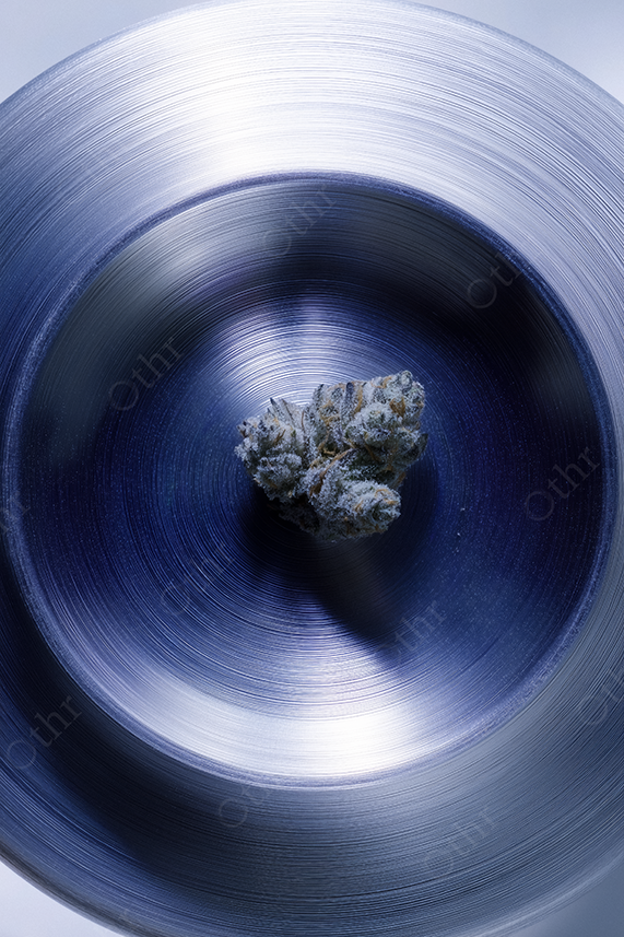 Cannabis Bud Placed in the Centre of a Brushed Metal Dish