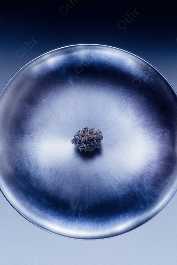Cannabis Bud Placed in the Centre of a Brushed Metal Dish