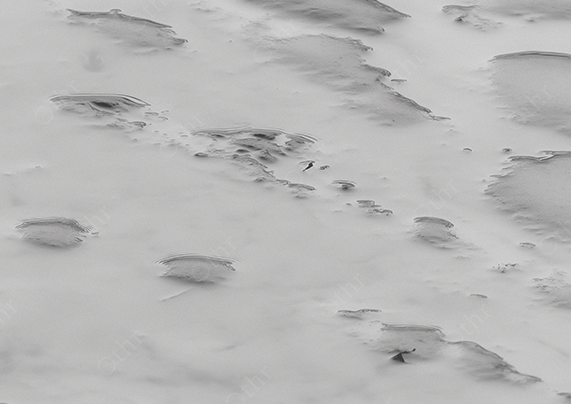 Silver Rippling Sand with Shallow Pools and Monochrome Texture