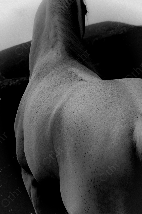 asset