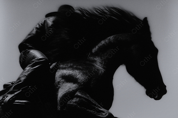 Black horse and rodeo cowboy silhouette in motion.