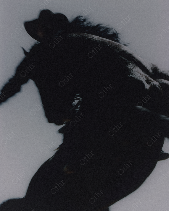Black horse and rodeo cowboy silhouette.