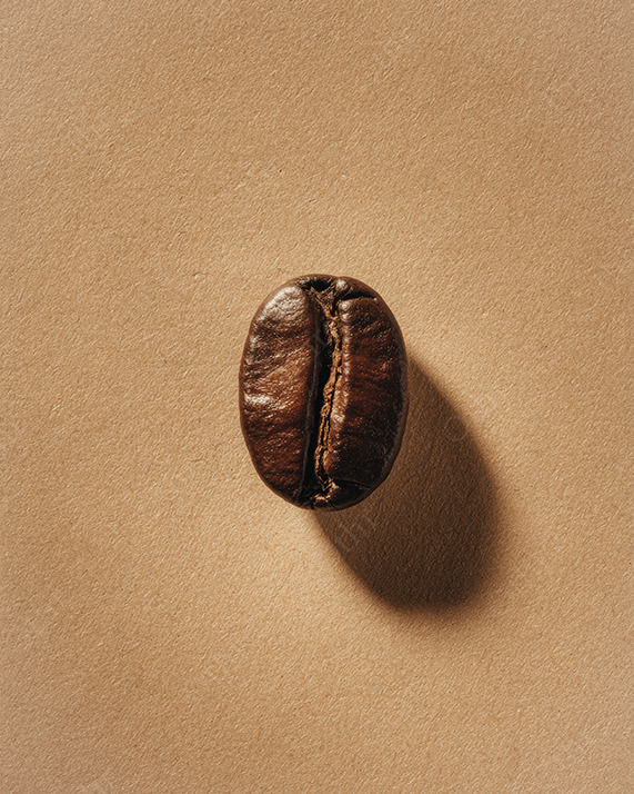 Single Coffee Bean On Beige Background