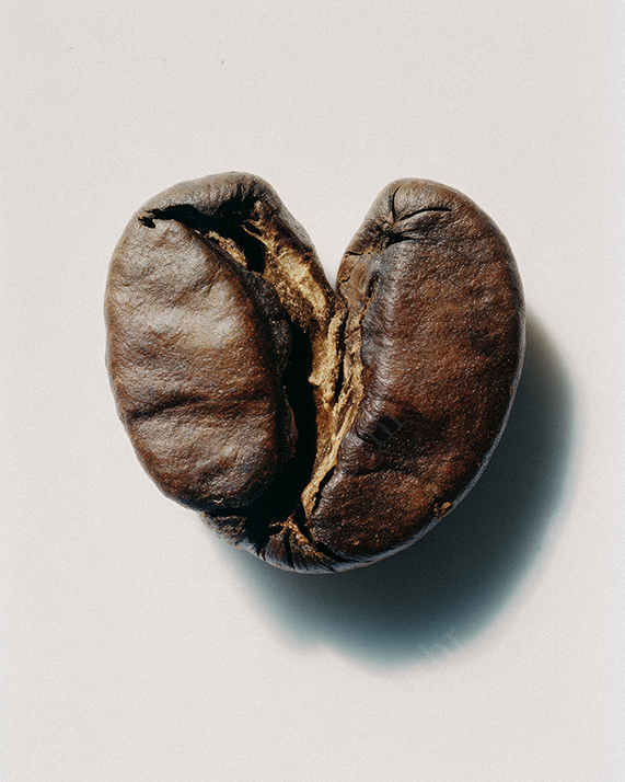 Macro Coffee Bean On Light Neutral Background