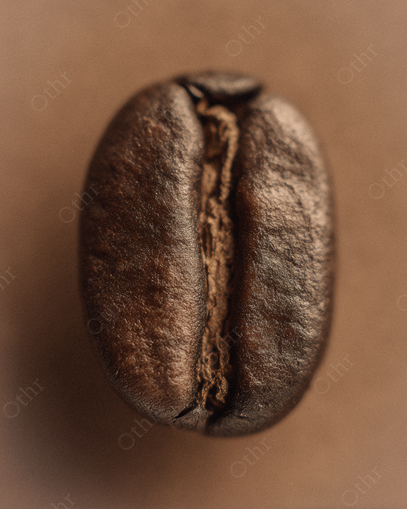 Close-Up Coffee Bean On Warm Brown Backdrop