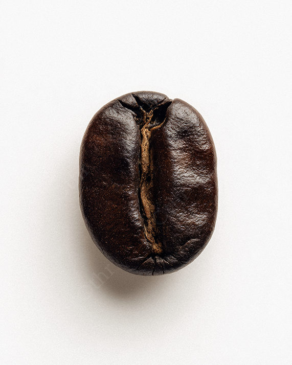 Single Coffee Bean On White Background