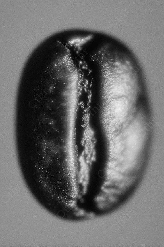 Black And White Macro Coffee Bean