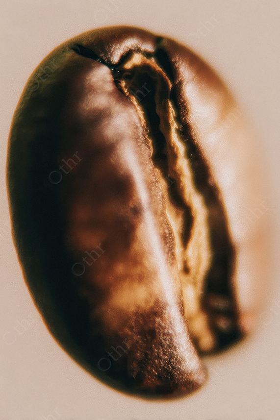 Warm Sepia Coffee Bean Macro