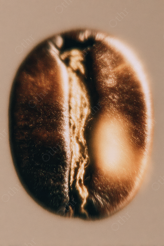 Glowing Warm Coffee Bean Close-Up