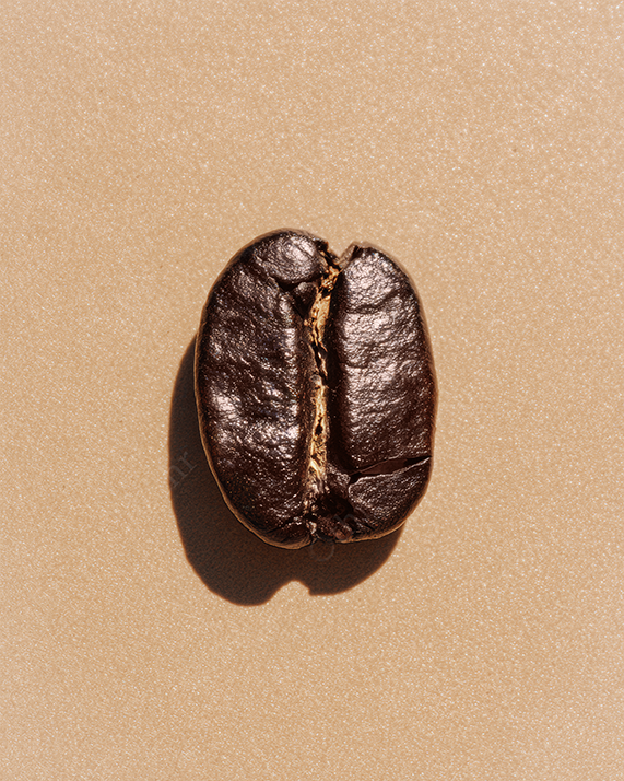 Coffee Bean On Textured Beige Background