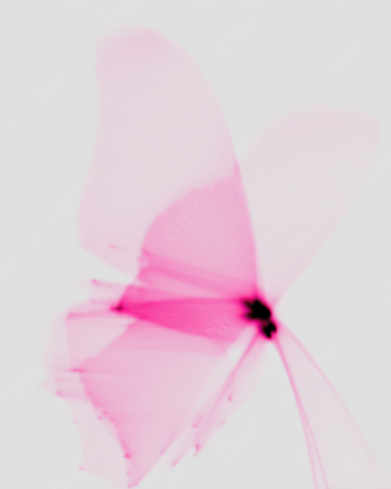 Translucent Abstract Butterfly With Layered Pink Wings on Light Background