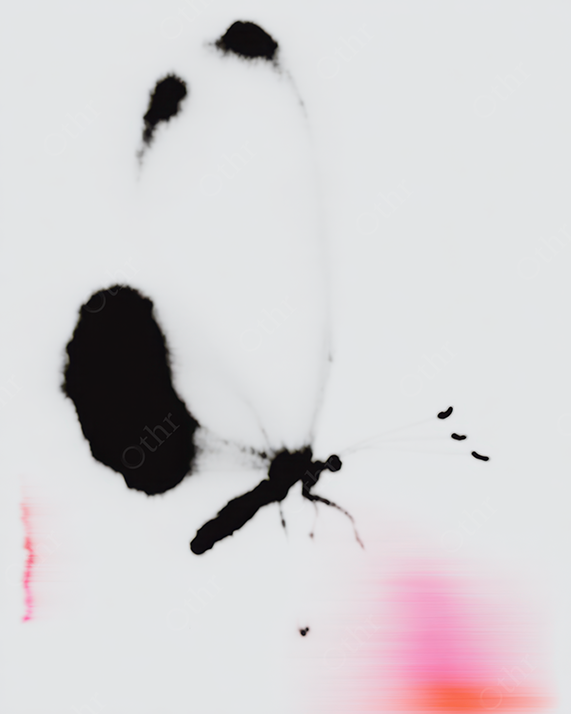 Abstract Butterfly With Black and White Wings and Pink Accent on Light Background