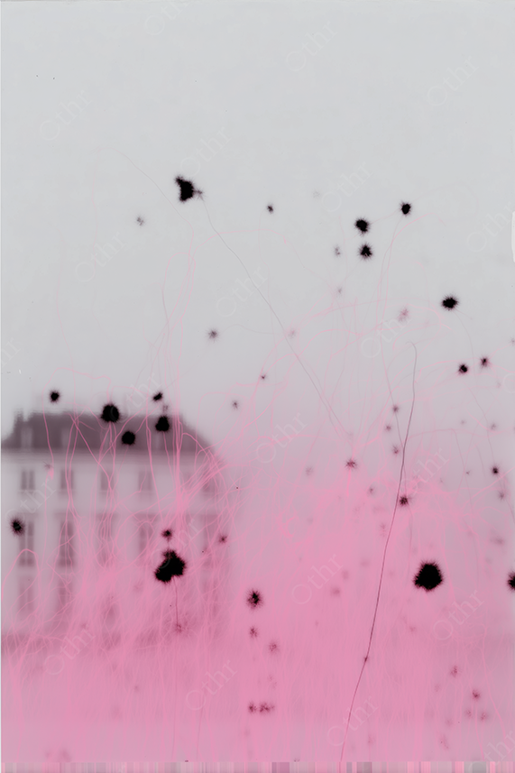 Abstract Urban Scene With Black Ink Droplets and Pink Gradient Overlay