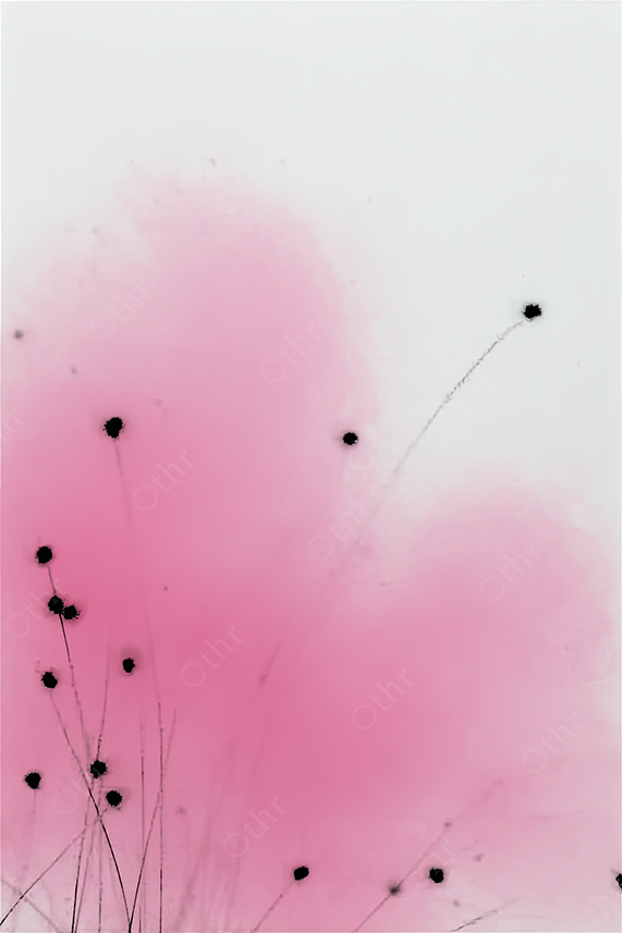 Abstract Floral Composition With Black Stems and Pink Gradient Bloom