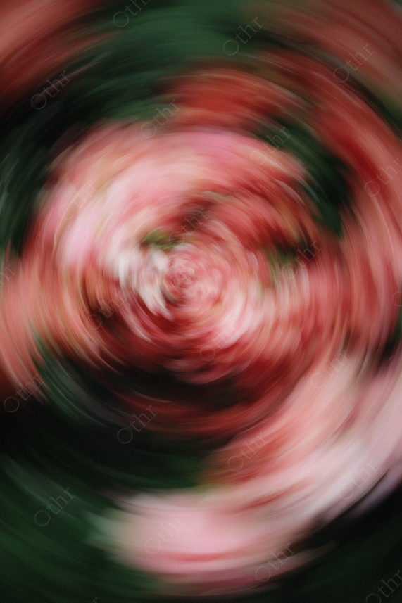 Pink and Red Motion Blur Floral Spiral