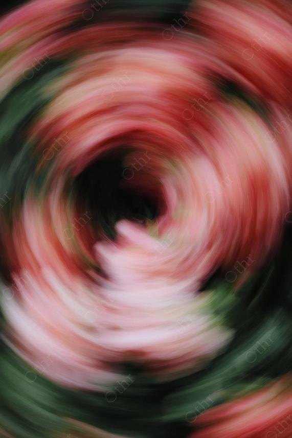 Pink and Red Motion Blur Floral Spiral