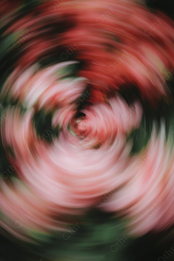 Pink and Red Motion Blur Floral Spiral