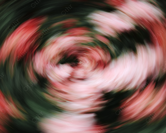 Pink and Red Motion Blur Floral Spiral