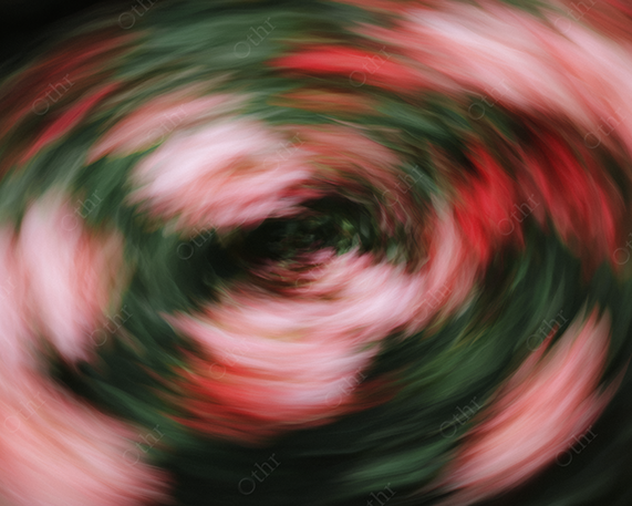 Pink and Red Motion Blur Floral Spiral