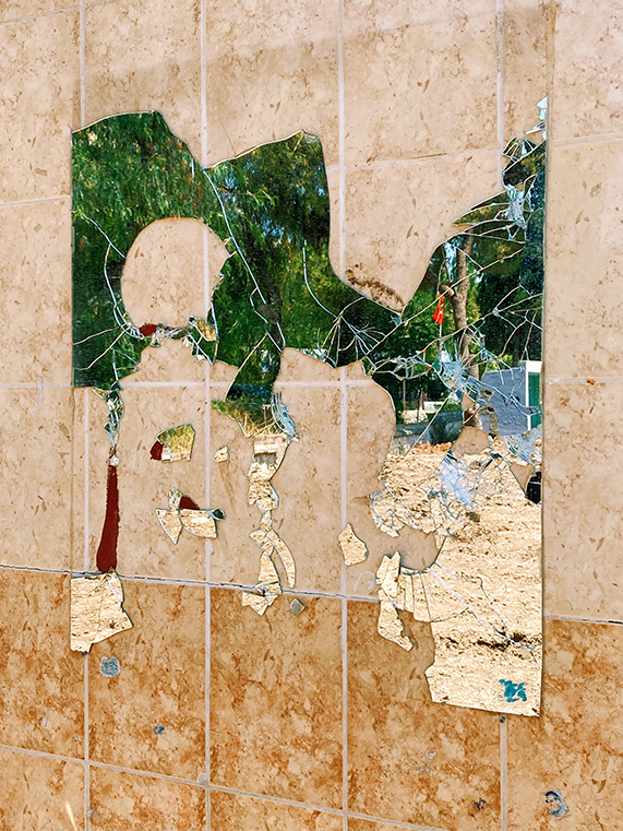 Broken Mirror Pieces on Tiled Wall Reflecting Outdoor Trees