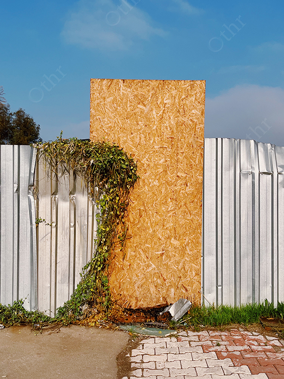 Wooden Board Covering Metal Fence With Creeping Vines Under Blue Sky