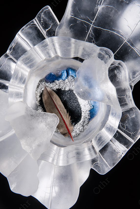 Feather Embedded in Clear Crystalline Structure With Blue and Silver Accents – Abstract Still Life
