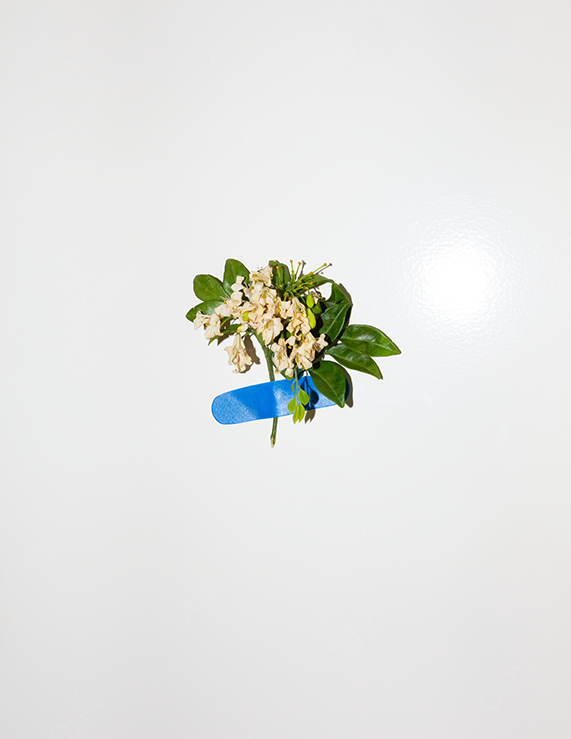 Small Floral Bundle Taped to White Wall With Blue Adhesive Strip