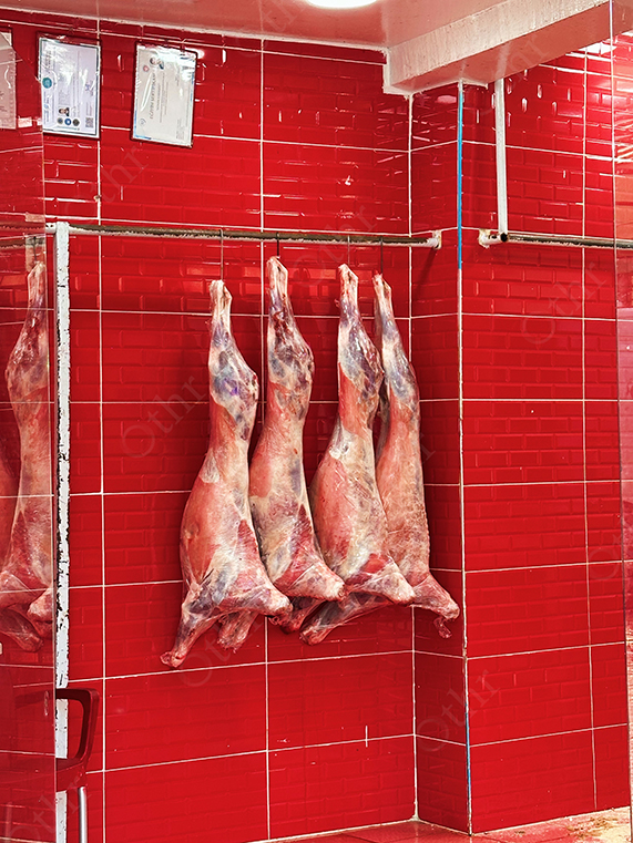 Hanging Meat Carcasses Against Bright Red Tiled Wall