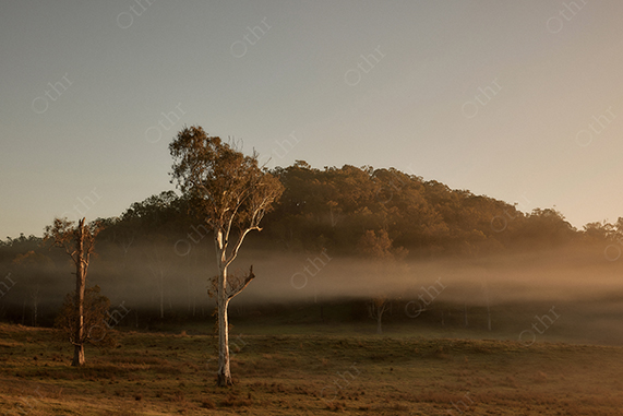 Morning Fog Drifting Across a Grassy Valley Beneath Sunlit Hills