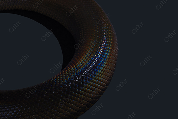 Close-Up of Iridescent Snake Scales on a Dark Background